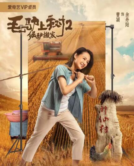 《朋友夫妇:交换6》电影在线观看